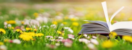 Kuva: Avonainen kirja ruohikolla, jolla kasvaa kukkia.